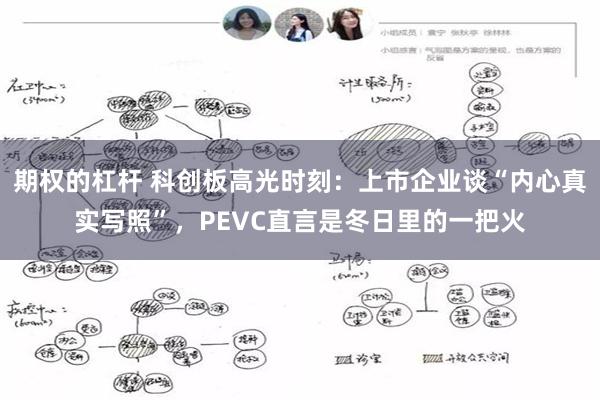 期权的杠杆 科创板高光时刻：上市企业谈“内心真实写照”，PEVC直言是冬日里的一把火