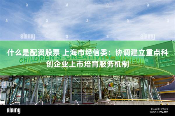 什么是配资股票 上海市经信委：协调建立重点科创企业上市培育服务机制