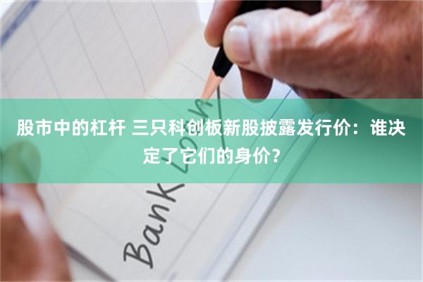 股市中的杠杆 三只科创板新股披露发行价：谁决定了它们的身价？