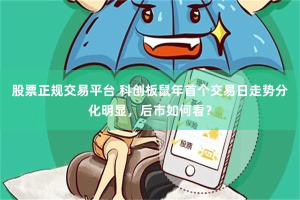 股票正规交易平台 科创板鼠年首个交易日走势分化明显，后市如何看？