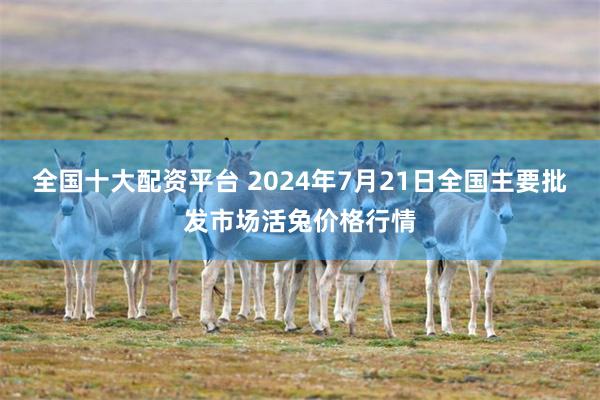 全国十大配资平台 2024年7月21日全国主要批发市场活兔价格行情