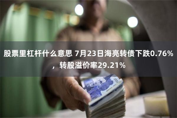 股票里杠杆什么意思 7月23日海亮转债下跌0.76%，转股溢价率29.21%