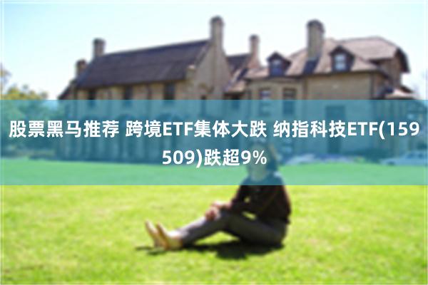 股票黑马推荐 跨境ETF集体大跌 纳指科技ETF(159509)跌超9%