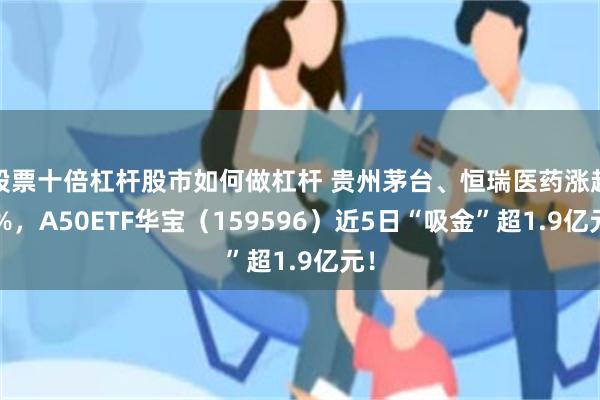 股票十倍杠杆股市如何做杠杆 贵州茅台、恒瑞医药涨超2%，A50ETF华宝（159596）近5日“吸金”超1.9亿元！