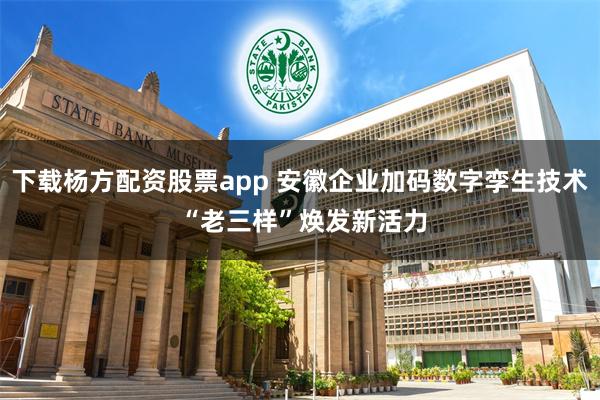 下载杨方配资股票app 安徽企业加码数字孪生技术 “老三样”焕发新活力