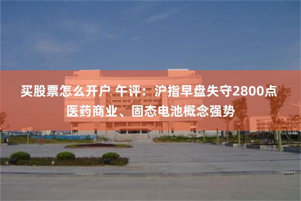 买股票怎么开户 午评：沪指早盘失守2800点 医药商业、固态电池概念强势