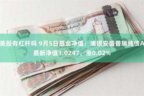 美股有杠杆吗 9月5日基金净值：浦银安盛普瑞纯债A最新净值1.0247，涨0.02%