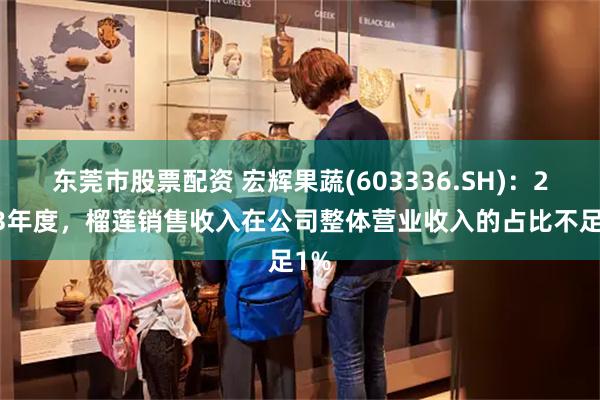 东莞市股票配资 宏辉果蔬(603336.SH)：2023年度，榴莲销售收入在公司整体营业收入的占比不足1%