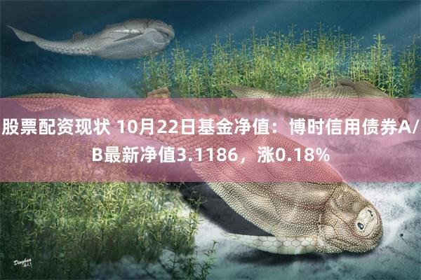 股票配资现状 10月22日基金净值：博时信用债券A/B最新净值3.1186，涨0.18%