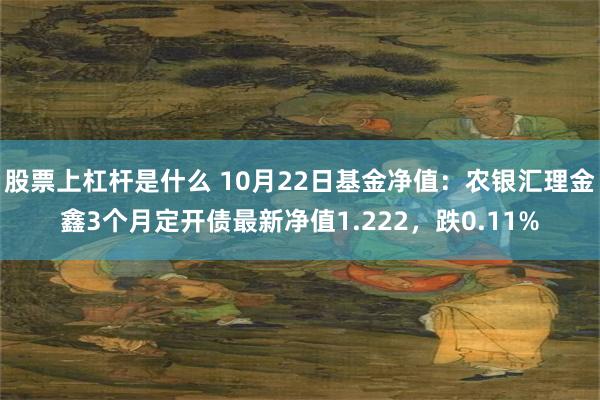 股票上杠杆是什么 10月22日基金净值：农银汇理金鑫3个月定开债最新净值1.222，跌0.11%