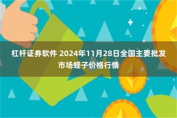 杠杆证券软件 2024年11月28日全国主要批发市场蛏子价格行情