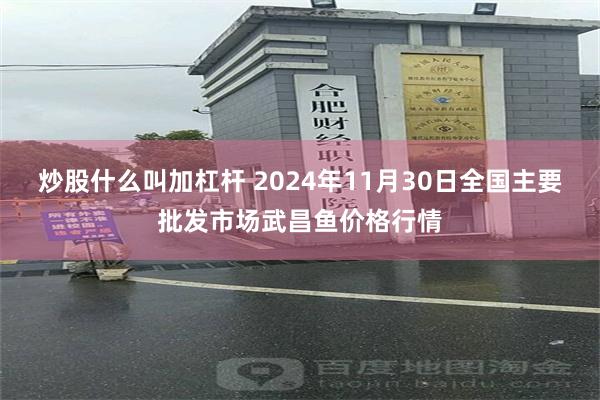 炒股什么叫加杠杆 2024年11月30日全国主要批发市场武昌鱼价格行情