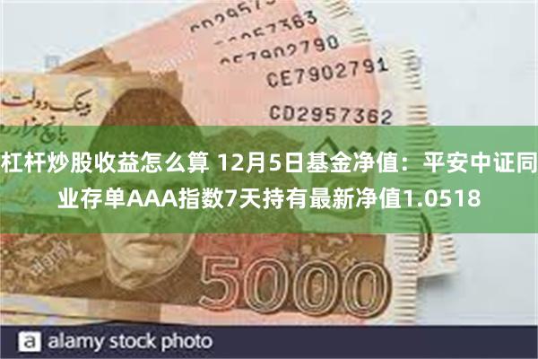 杠杆炒股收益怎么算 12月5日基金净值：平安中证同业存单AAA指数7天持有最新净值1.0518